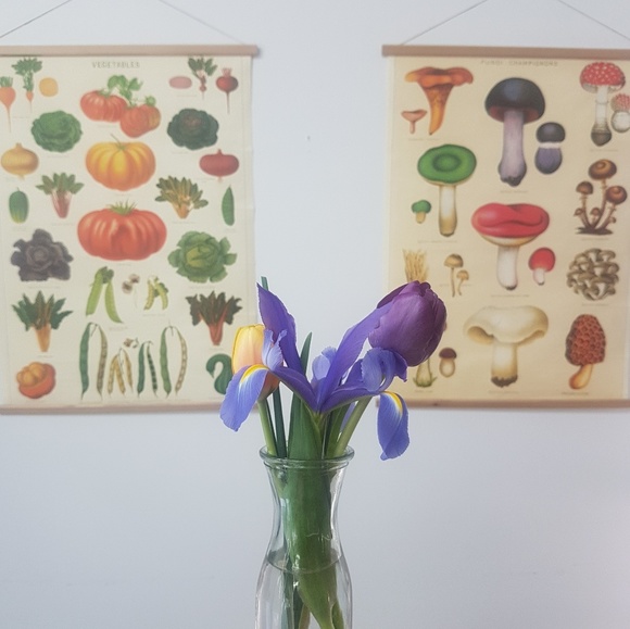 Meet your Posher, Kristjana - Picture 1 of 1